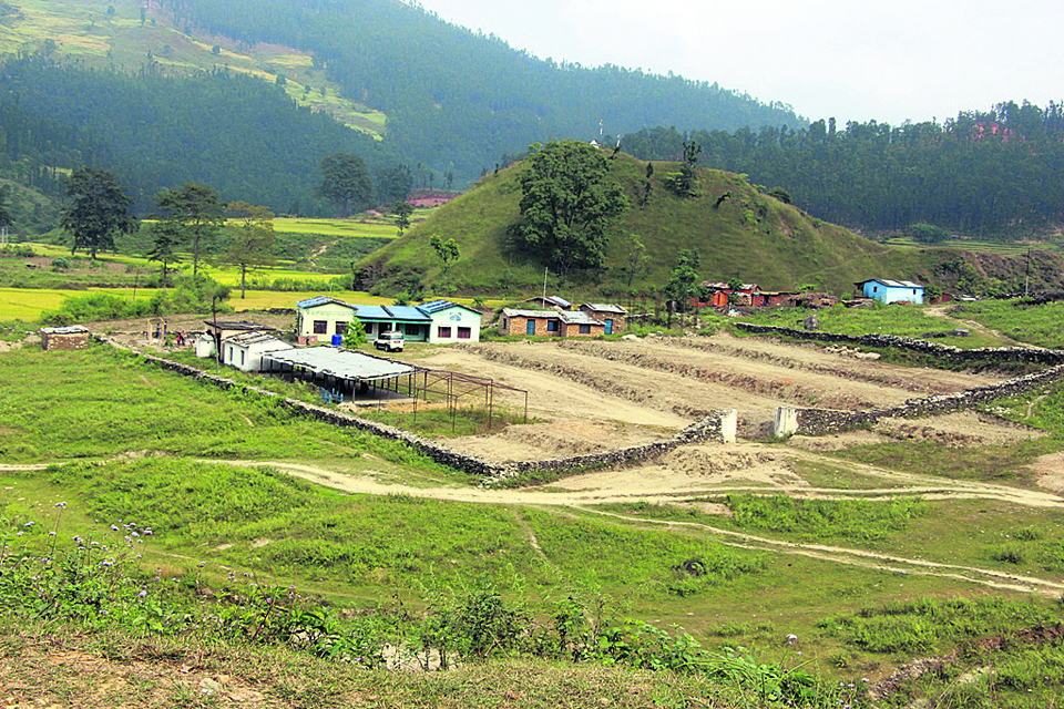 Petroleum exploration in Dailekh after Tihar