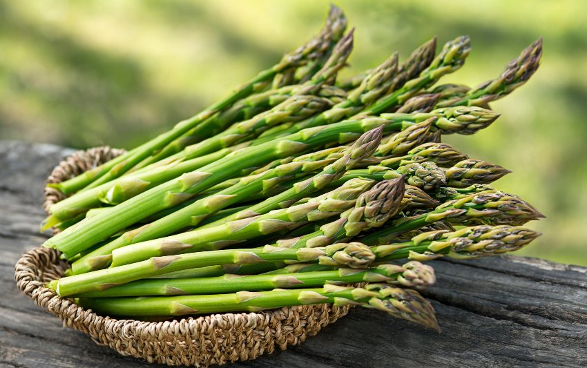 Asparagus price reaches Rs 5,000 per kg in local market due to surging demand amid low supply