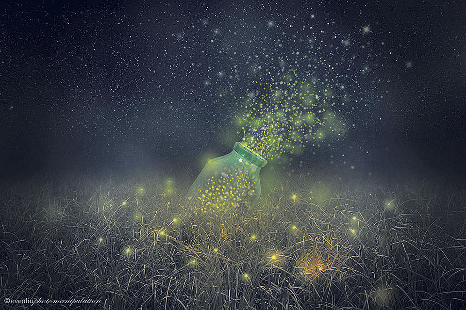 Beauty of  fireflies