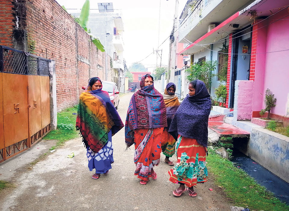 Tarai districts turn dark in daytime, hinting arrival of coldwave