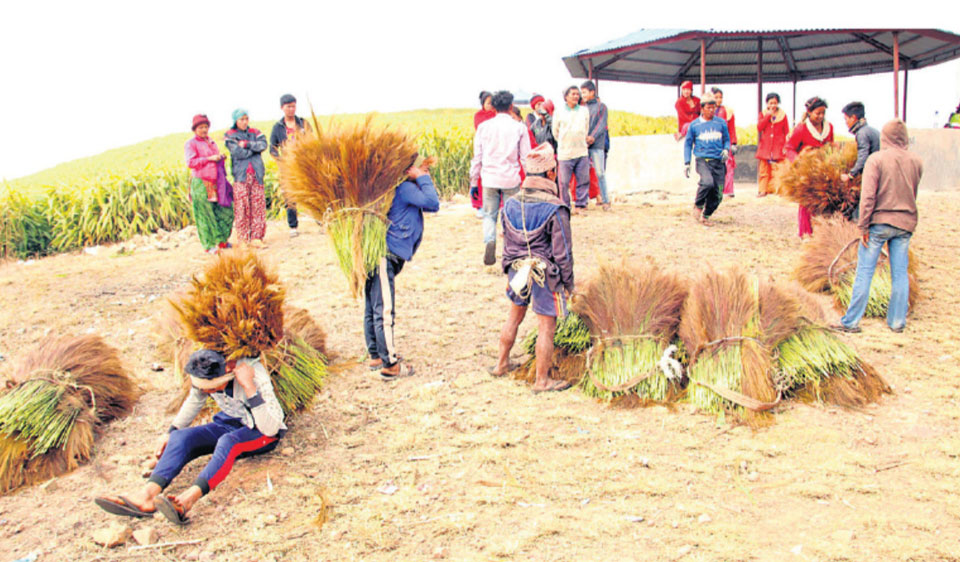 Broom worth Rs 100 million sold during Tihar