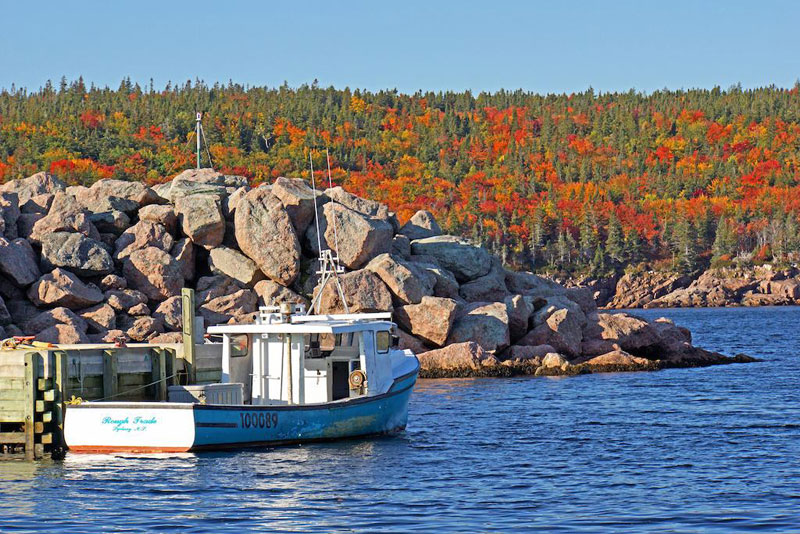 Canadian island offers land, job to anyone willing to move there
