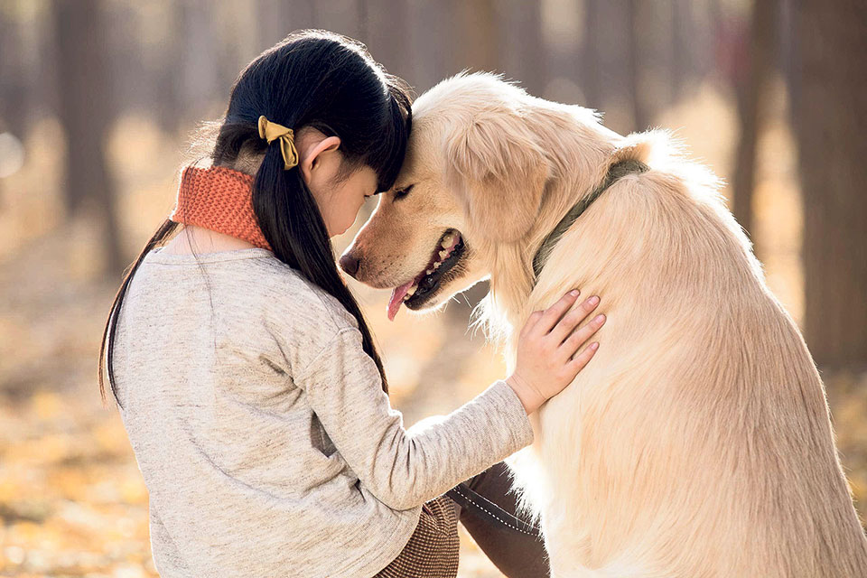 Caring for Your Pet: Five Ways to Show You Love Animals