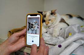 Feline okay? Tably App can tell you if your cat's happy