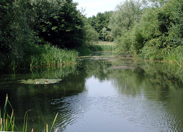 Biodiversity conservation ponds constructed inside community forests