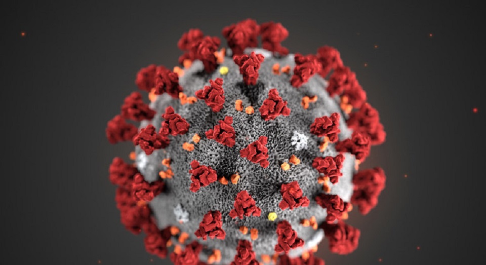 Number of NRNs to die of coronavirus reaches 96