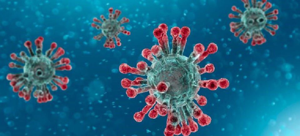 Germany's confirmed coronavirus cases rise by 436 to 216,327: RKI