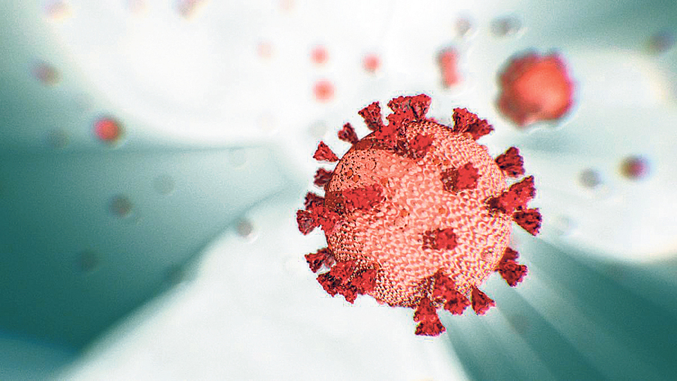 Rautahat sees 23 fresh cases of coronavirus
