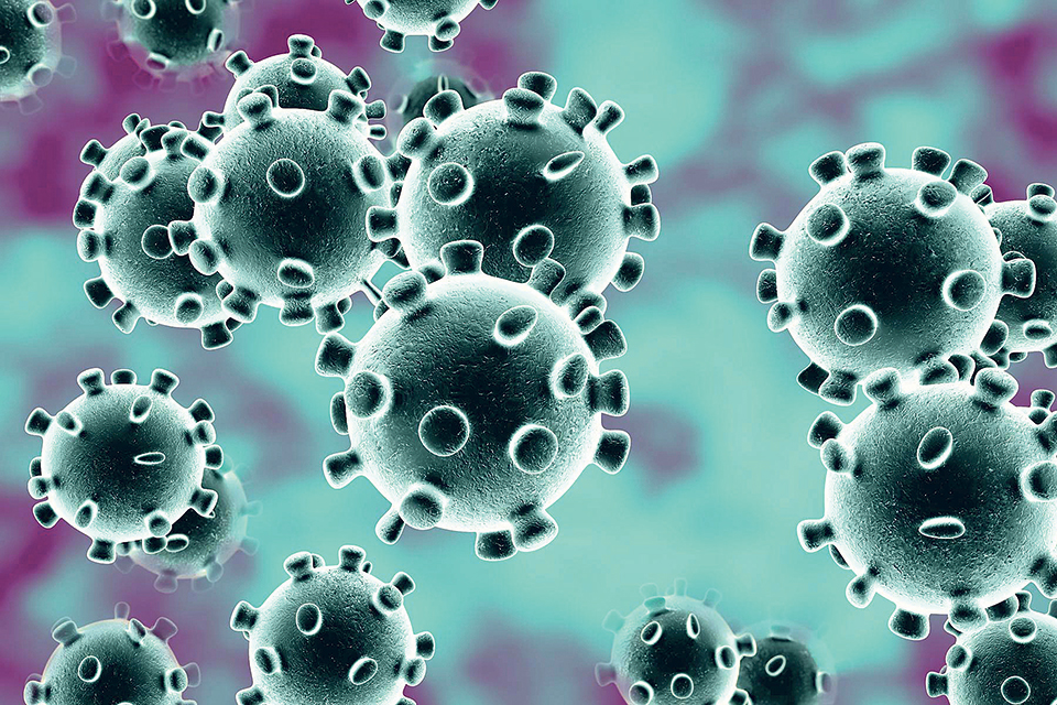 Jumla reports 39 new cases of coronavirus