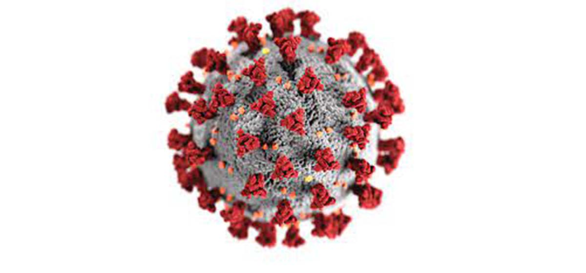 38 new cases of coronavirus traced on Saturday
