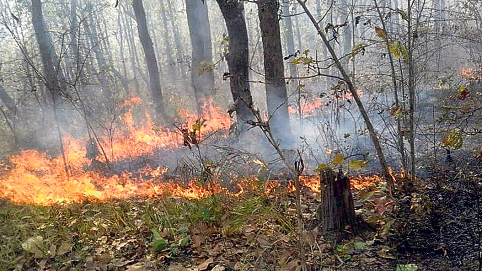Bushfires destroy around 450 hectares of forest area in Baglung