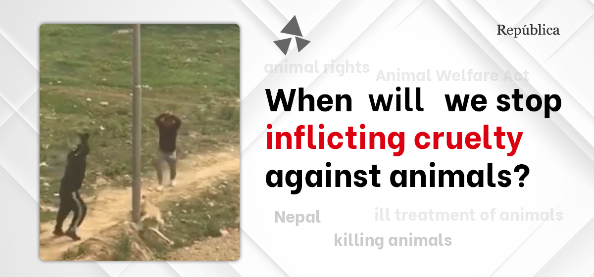 Animals are killed brutally time and again, but perpetrators are hardly booked