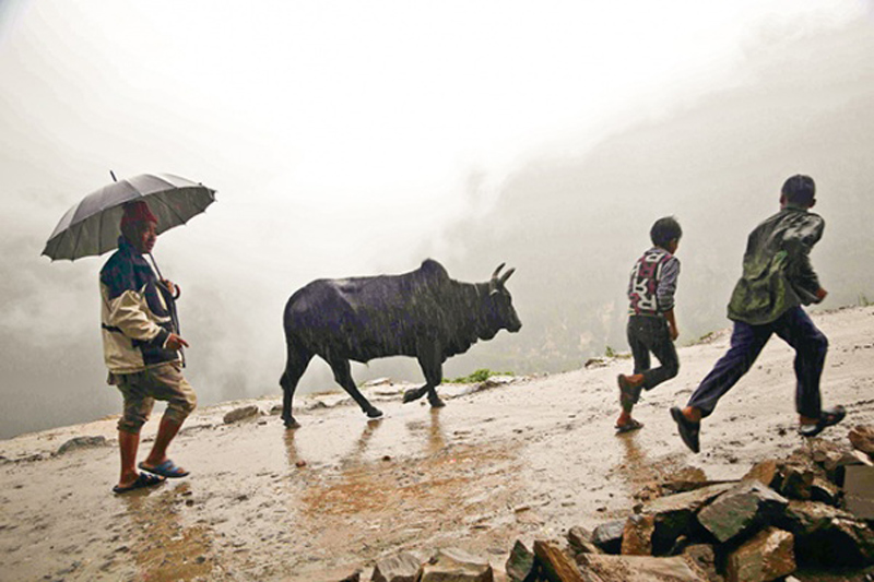 Rain likely in western Nepal for few more days