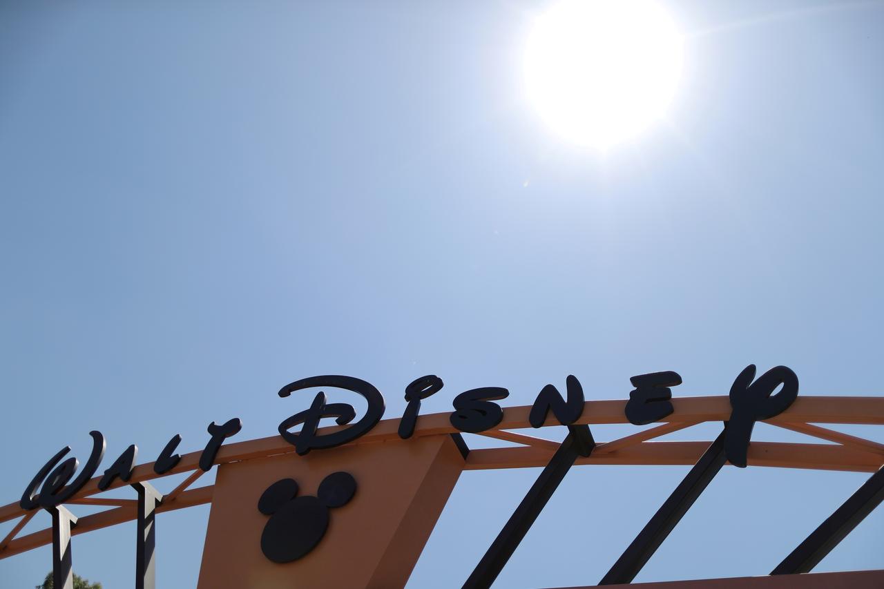 Disneyland 'Tiki' birds among vast theme park auction