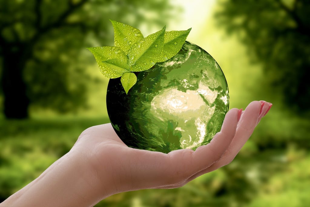 Mission: Sustainable Earth