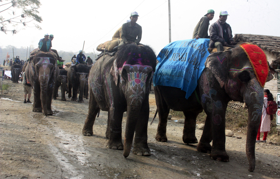 Elephant festival to kick off today