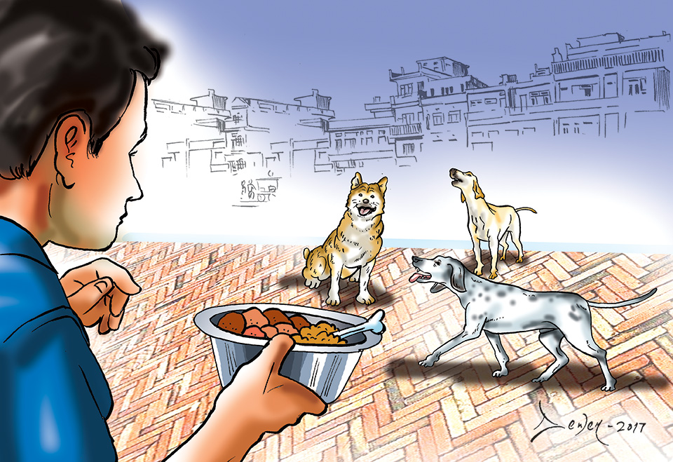 Ensuring Welfare of Street Dogs