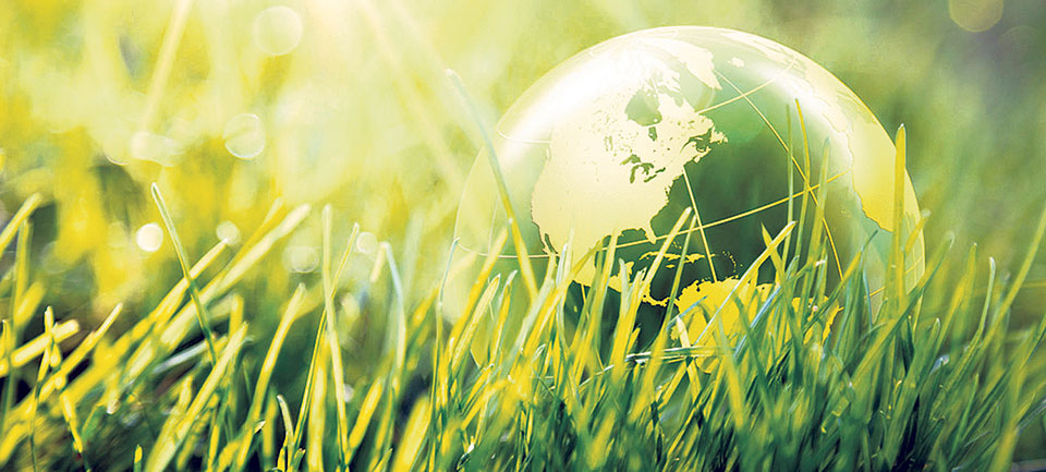 Greening Our Path to Peace: The Link between Environment, Peace, and CSR