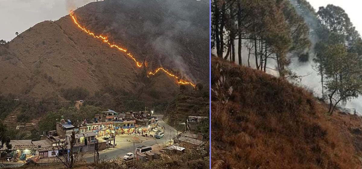 Forest fire goes out of control in Syangja district