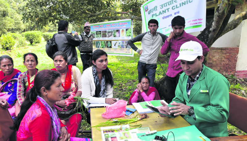 Kavre farmers benefiting from e-plant clinics