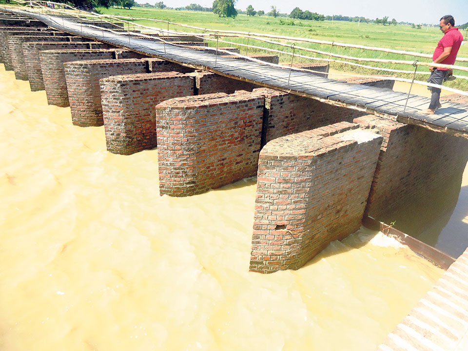 Mahalisagar dam inundates paddy farms of Kapilvastu