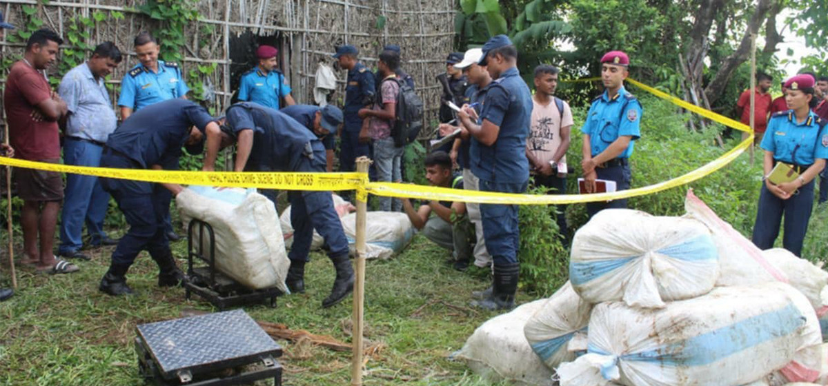 One arrested with over 15 quintals of illegal marijuana in Morang