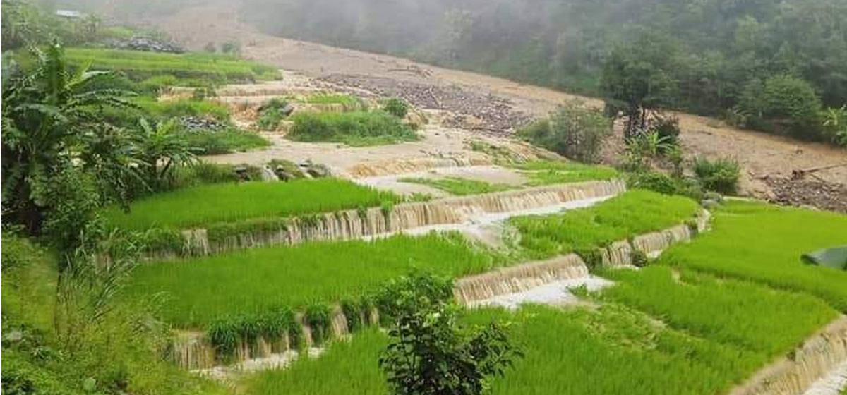 Floods and landslides cause damage in Sindhupalchowk