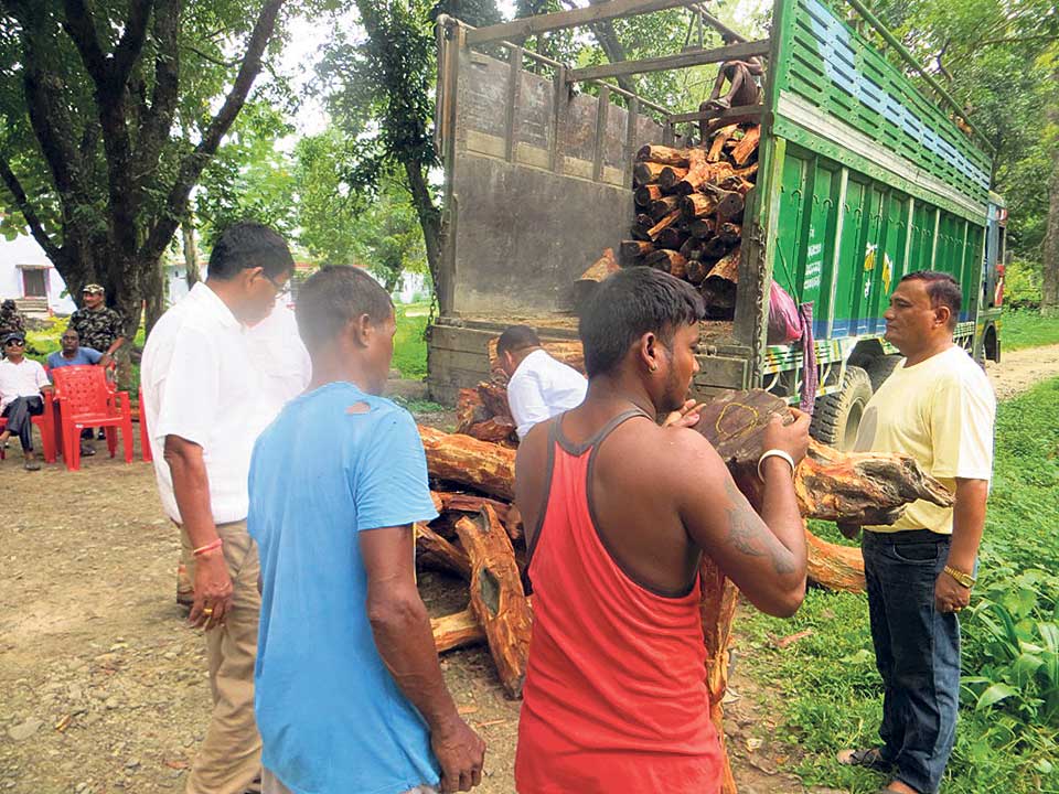 Nexus between officials, smugglers abetting deforestation