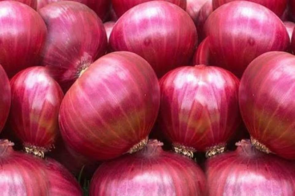 India’s onion export tax policy leaves Kalimati vegetable godowns depleted