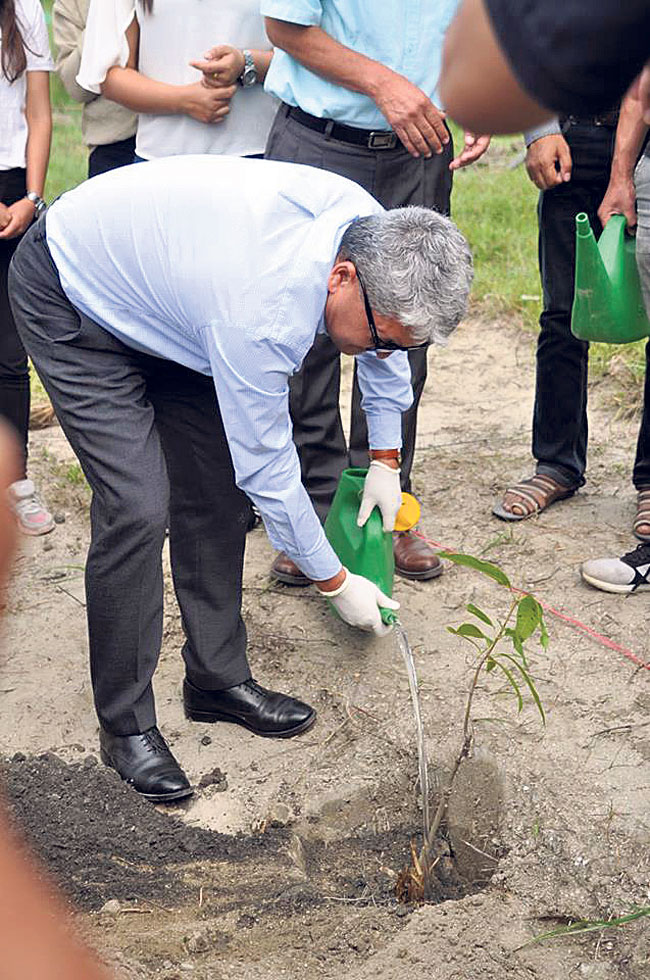 Planting trees to celebrate anniversary
