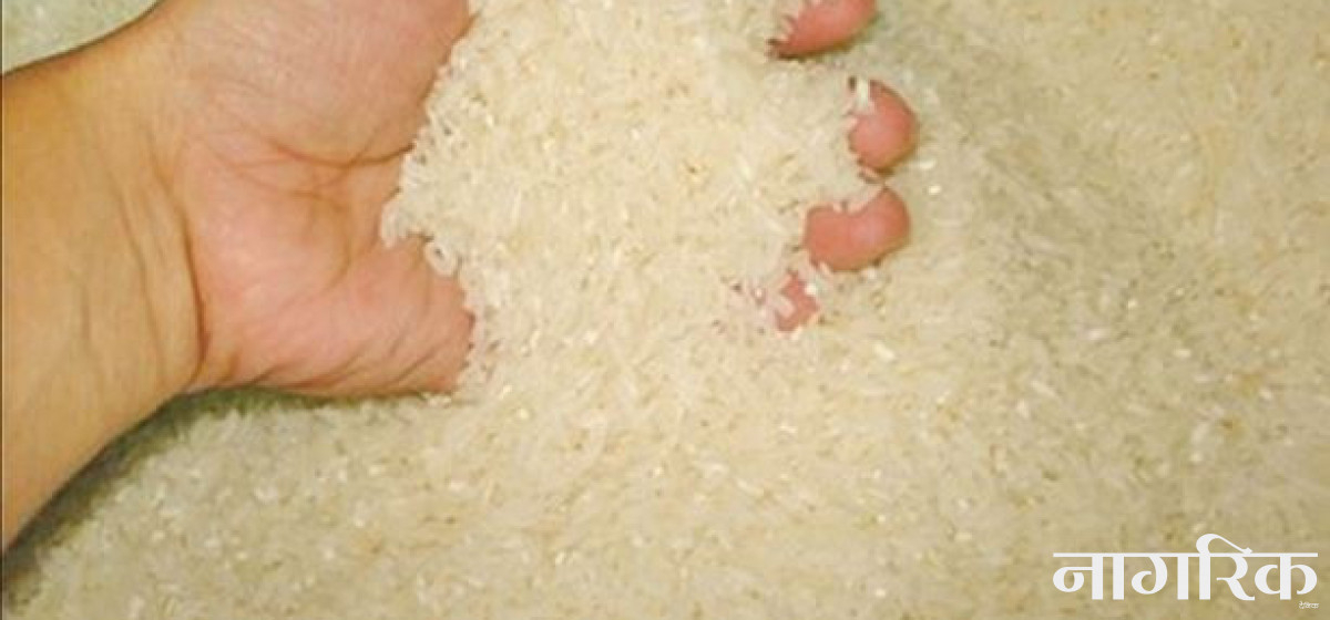 Nutrient-rich rice reaches remote Humla