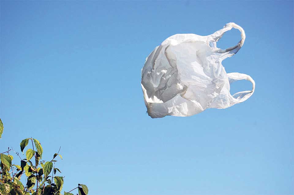 The plastic bag