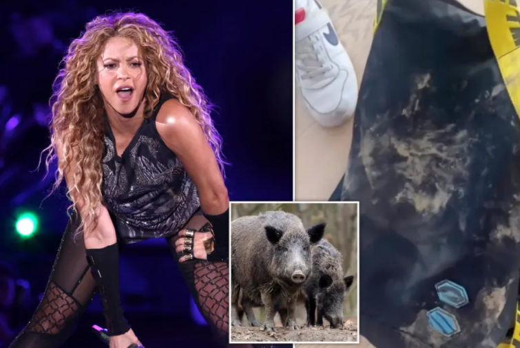 Shakira and son survive attack by wild boars in Barcelona