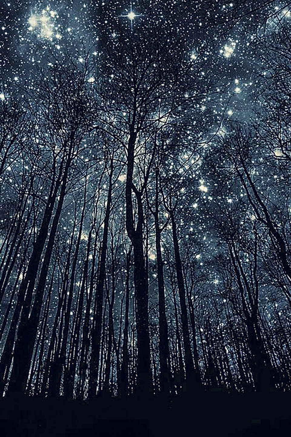 Stars of Missed Nights