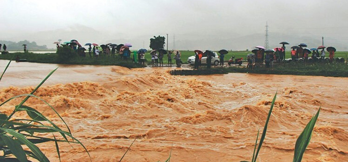 Water in Tinau and West Rapti Rivers reach danger level as heavy rainfall triggers floods