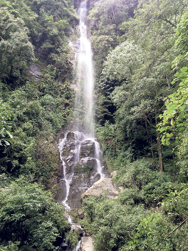 Woman who had gone to see waterfall drowns