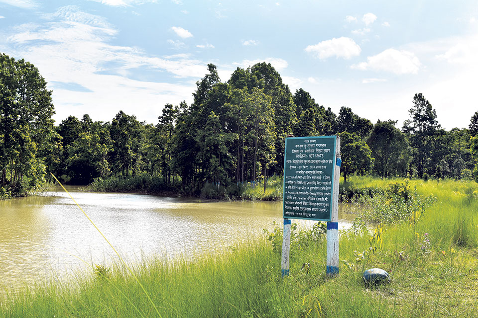 Wetland in Siraha gets attention
