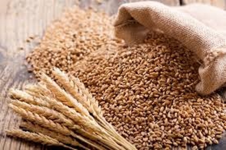 India lifts ban on wheat export to Nepal