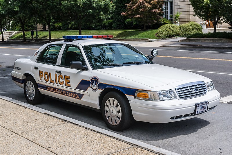 Deputies: Couple had sex in patrol car after arrest