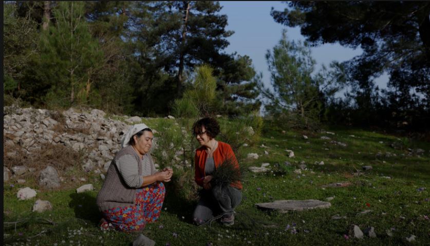 Turkish olive farmer battles to save her land from coal mine